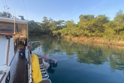 Reliable address for blue cruise