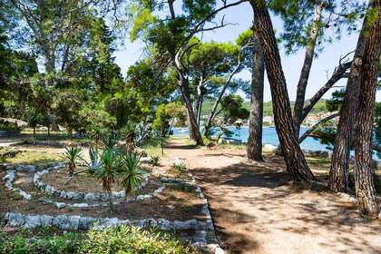 BSC 70 Ebony (4 hours tour)