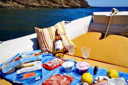 BWA GT19 RIB – 150hp Honda – 10 people – Departure from Toulon ?