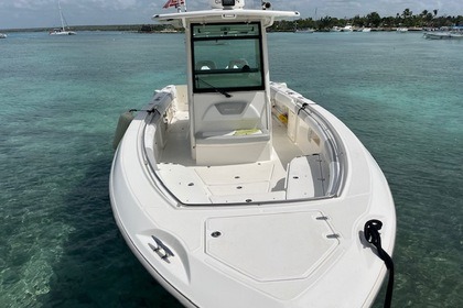 Hire Motorboat Boston Whaler OUTRAGER 32 Bayahibe