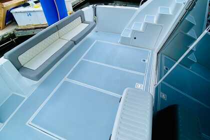 Luxurious Cruiser 44