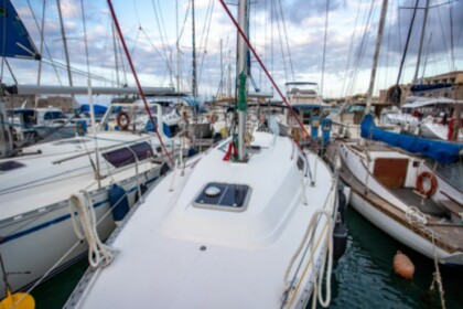 Half Day Private Trip to Dia  Dufour 32