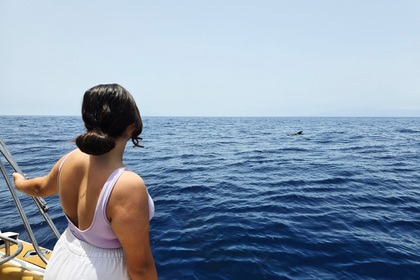 ETAP Bertram 28 Tenerife dedicated to fishing