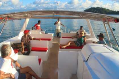 WHALES IN SAMANA FROM JANUARY TO APRIL, WHALES VISIT US. THEY COME EVERY YEAR TO MATE AND GIVE BIRTH. ENJOY THE SHOW IN COMFORT. HAITISES AND CAYO LEVANTADO AND THE WHALES