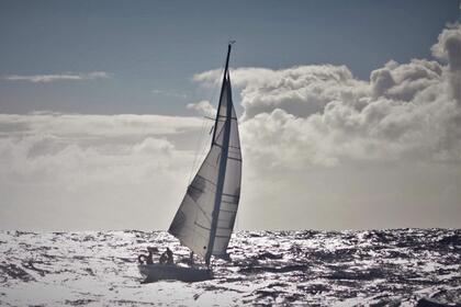 3 C Composites Bongo 960