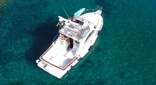 Motorboat Cayman Yacht 30 Fly Bridge Planimetria della barca