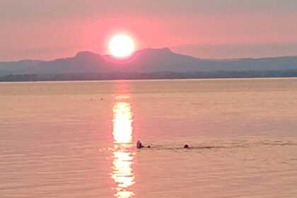 Sea Ray SPXE190 (mit Skipper)