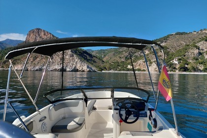 Bayliner Element 180 XL