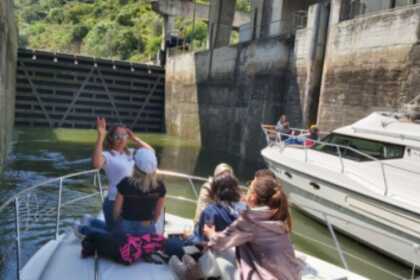 Rental Motorboat Sessa Marine OYESTER 35 Pinhão