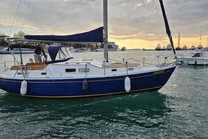 Chris Craft Caribbean 35