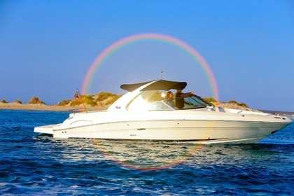 Rental Motorboat SEA RAY 290 SLX Ibiza