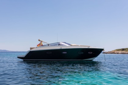 Charter Motorboat Sealine sport 35 Palma de Mallorca