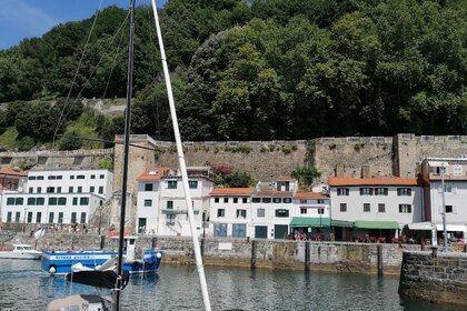 Sail Sebastian. Fast cruising tours. Pogo 36.