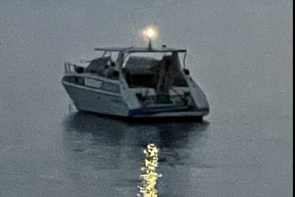 Squalo 2000 Squalo 38H