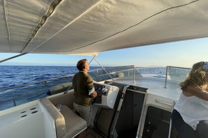 Squalo 2000 Squalo 38H