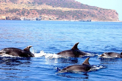 Beneteau Oceanis 430