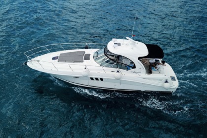 Searay 40 ft sundancer