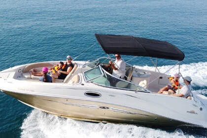 Charter Motorboat Sea Ray 260 Sundeck Lardos