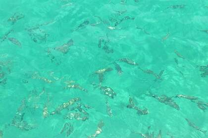 EXCURSIONES EN BARCO POR EL ARCHIPIÉLAGO DE LA MADDALENA Y CÓRCEGA