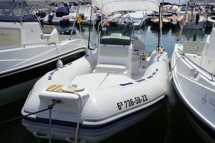 Tiger Marine 600