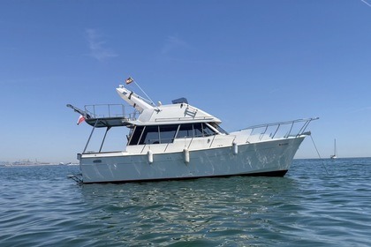 Charter Motorboat Atticu 00 Valencia