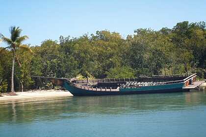 WHALES IN SAMANA FROM JANUARY TO APRIL, WHALES VISIT US. THEY COME EVERY YEAR TO MATE AND GIVE BIRTH. ENJOY THE SHOW IN COMFORT. HAITISES AND CAYO LEVANTADO AND THE WHALES