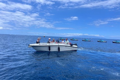 Alquiler Lancha LGK MARINE P.Q. NIREUS BOAT NIREUS 4.90 OPTIMA Costa Adeje