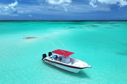 Hire Motorboat power catamaran CATAMARAN 30 Bayahibe