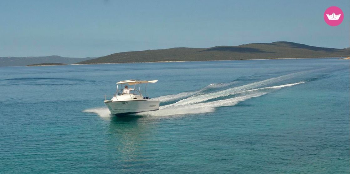 Motorboat Bayliner Trophy 1802 for hire