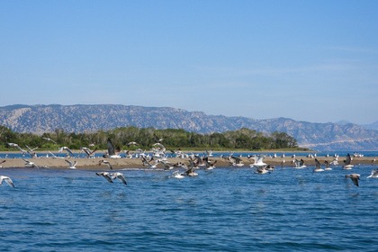 Only 1,5 hour boat trip