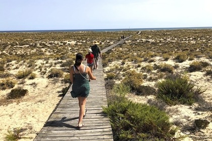 SunChaser Pontoon in Ria Formosa