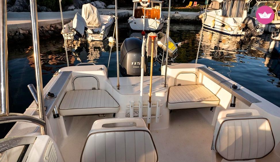 Motorboat Bayliner Trophy 1802 for hire
