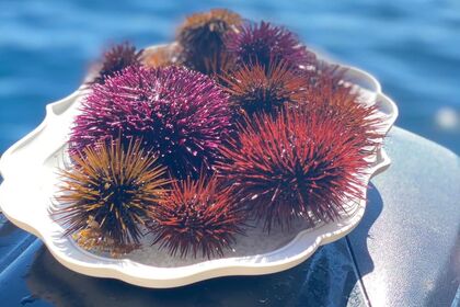 **ESCRUSIONE IN BARCA**