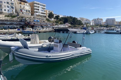 Italboats Predator 540 40 cv Suzuki 4 tempi