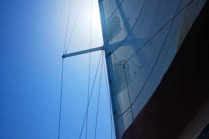 Un clásico contemporáneo a tu alcance