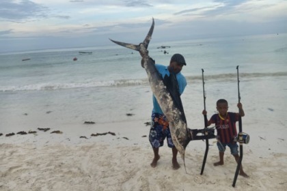 Rondleidingen en safari's in Panama