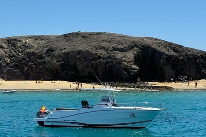 Disfruta del mar a bordo en la jeanneau cap camarat 9.0 wa