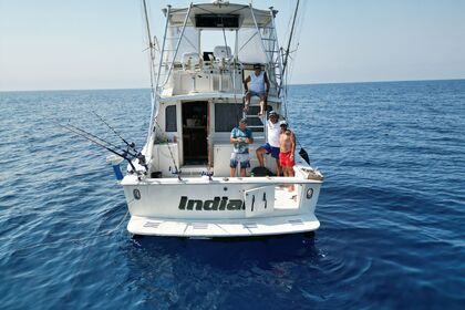 Miete Motorboot Egg Harbor 38 Fly Castiglione della Pescaia