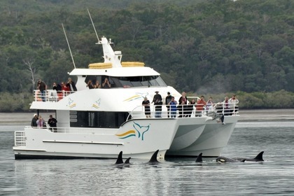 Charter Motorboat Custom Catamaran 18mt Hervey Bay