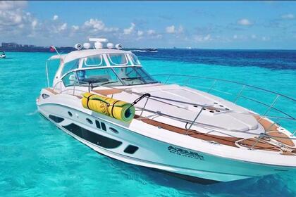 Hire Motorboat Sea Ray 2010 Cancún