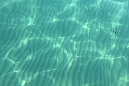 TARGA 33 - 11m - 10 pers