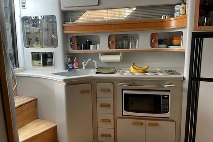 Location Bateau à moteur Sea Ray 420 Villeneuve-Loubet