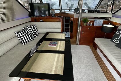 Princess flybridge 45