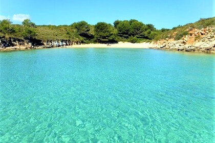 DISCOVER THE VIRGIN NORTH COAST