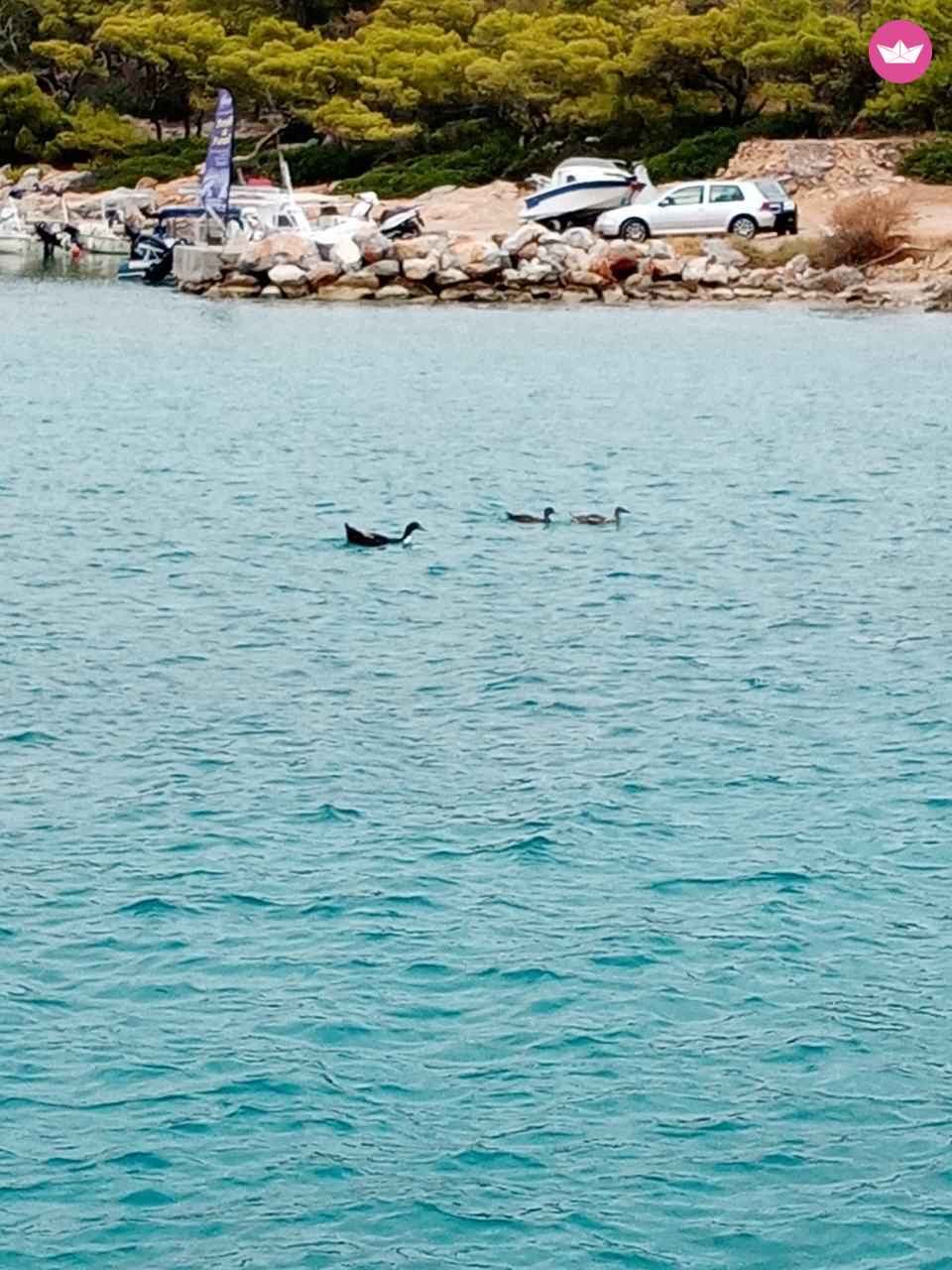 Rental Motorboat Princess 55 Athens