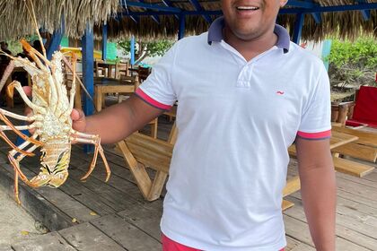 Leopard Catamaran 48'