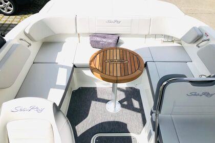 Sea Ray Black Diamond 210 SPX