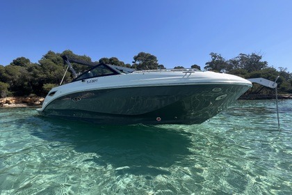 Noleggio Barca a motore Sea Ray 250 SDX Fréjus