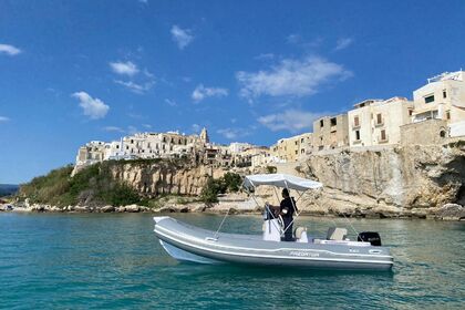 Italboats Predator 540 40 cv Suzuki 4 tempi