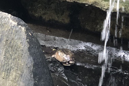 Daily private boat excursions